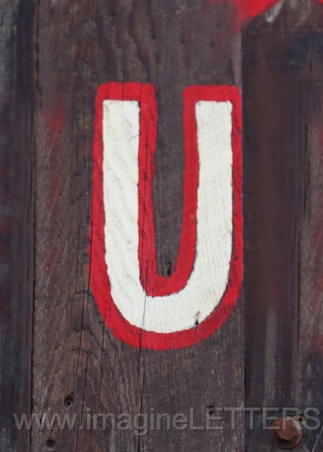 Wall_Art_Alphabet_Photography_Art_ 2268.jpg